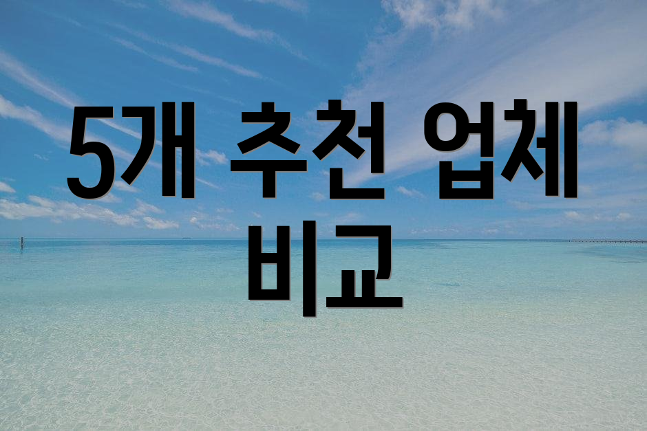 5개 추천 업체 비교