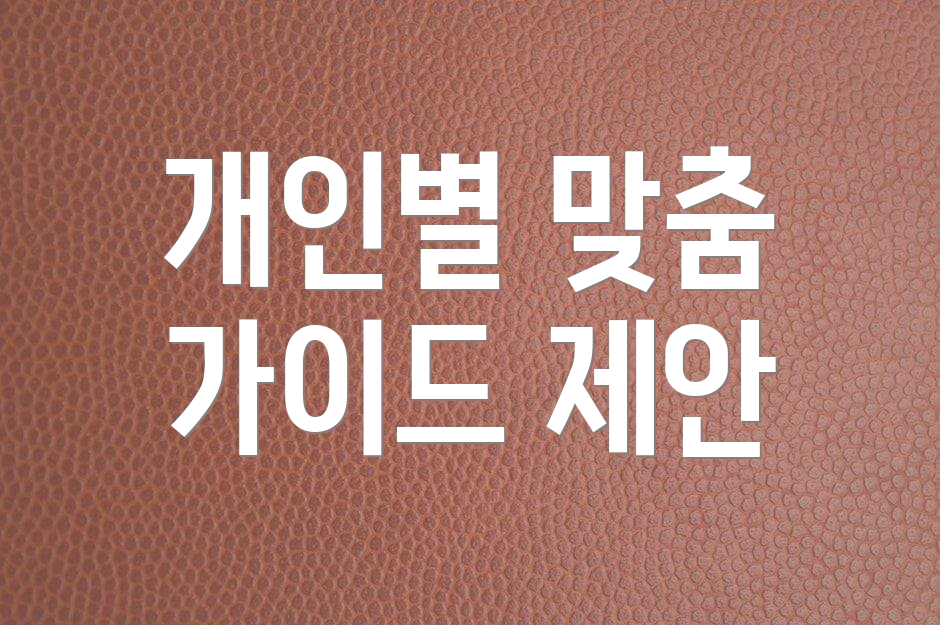 개인별 맞춤 가이드 제안