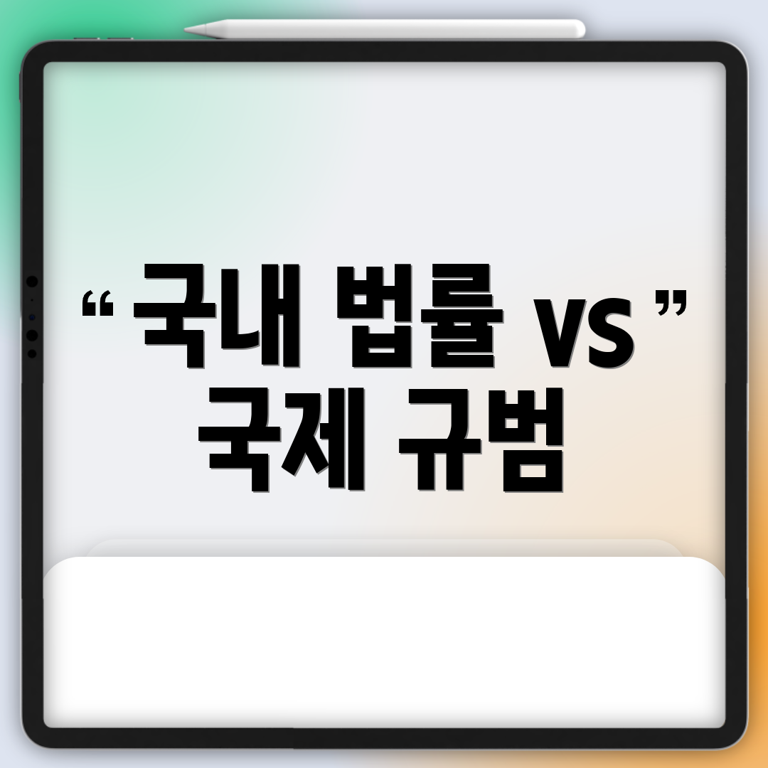 국내 법률 vs 국제 규범