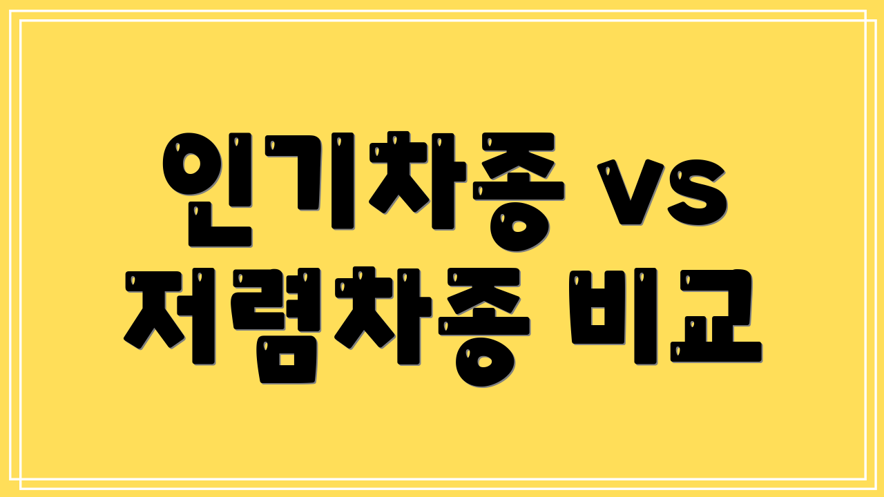 인기차종 vs 저렴차종 비교