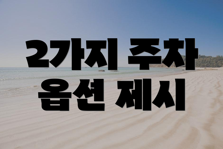 2가지 주차 옵션 제시