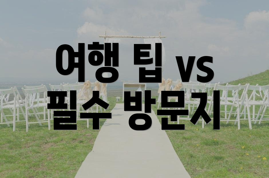 여행 팁 vs 필수 방문지