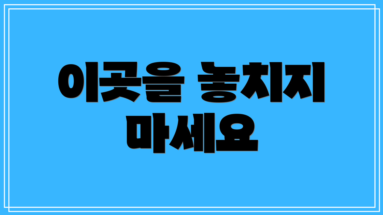 이곳을 놓치지 마세요