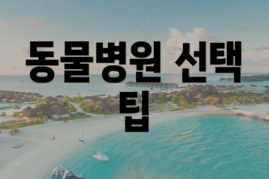 동물병원 선택 팁