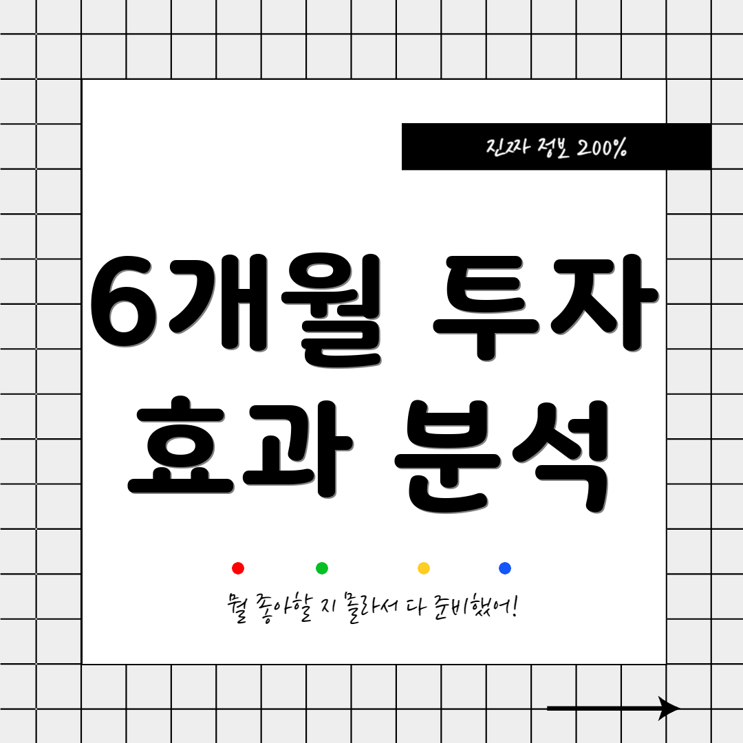 6개월 투자 효과 분석