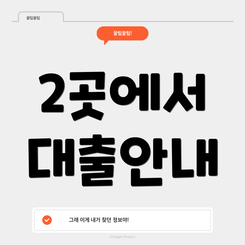 2곳에서 대출안내