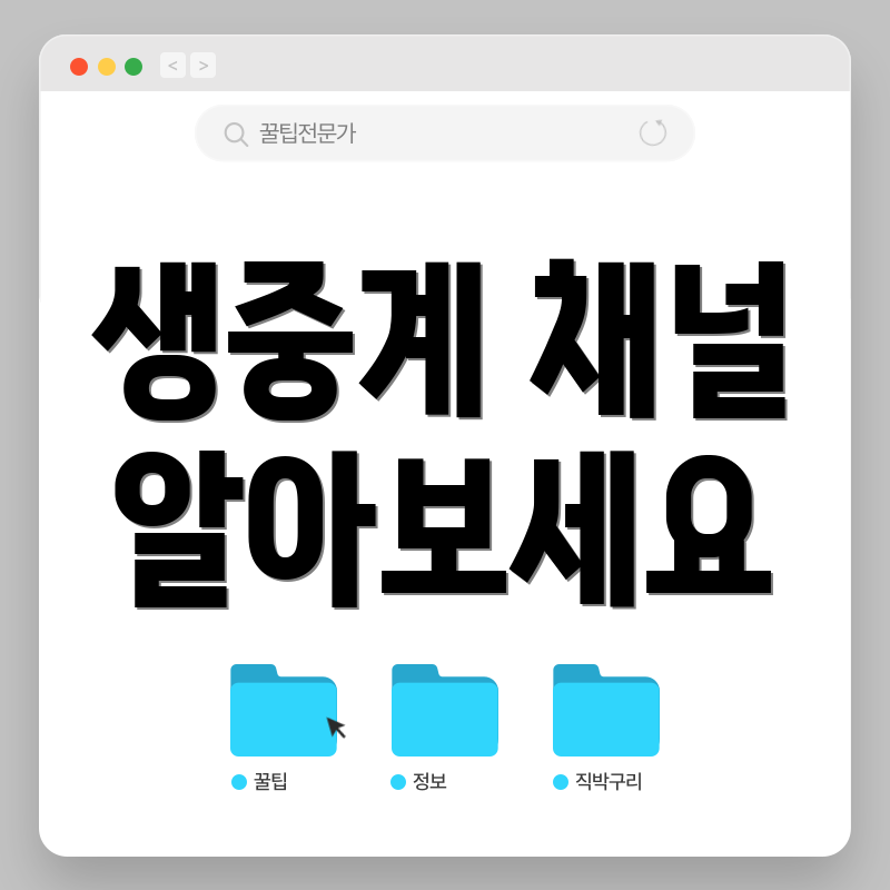 생중계 채널 알아보세요
