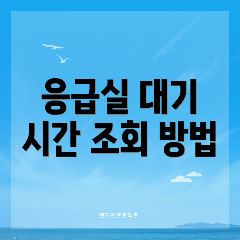 응급실 대기 시간 조회 방법