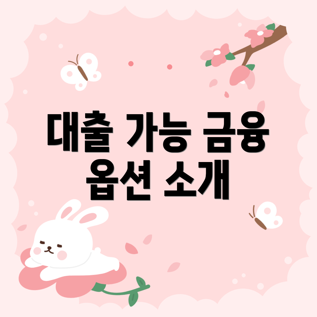 대출 가능 금융 옵션 소개