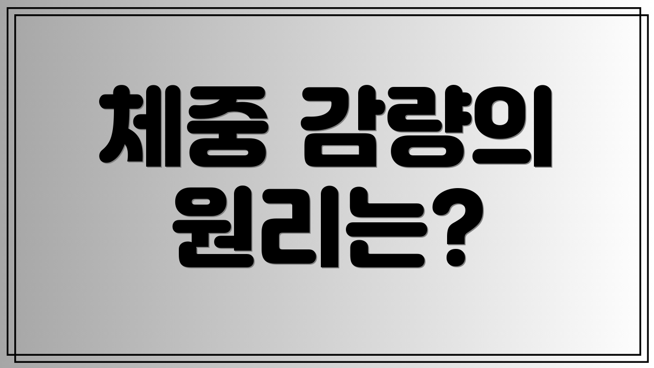 체중 감량의 원리는?