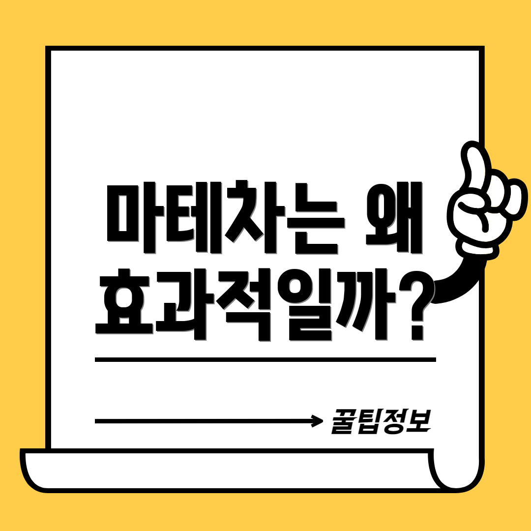 마테차는 왜 효과적일까?