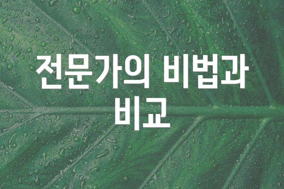 전문가의 비법과 비교