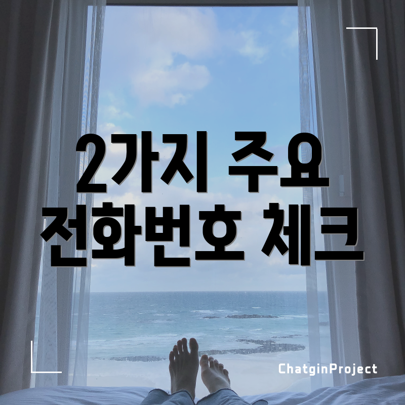 2가지 주요 전화번호 체크