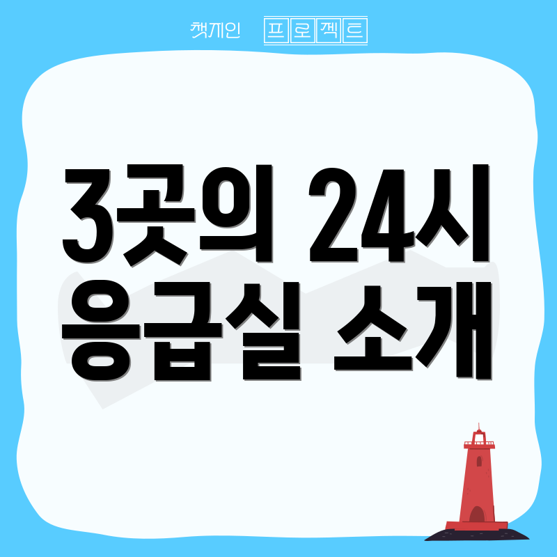 3곳의 24시 응급실 소개