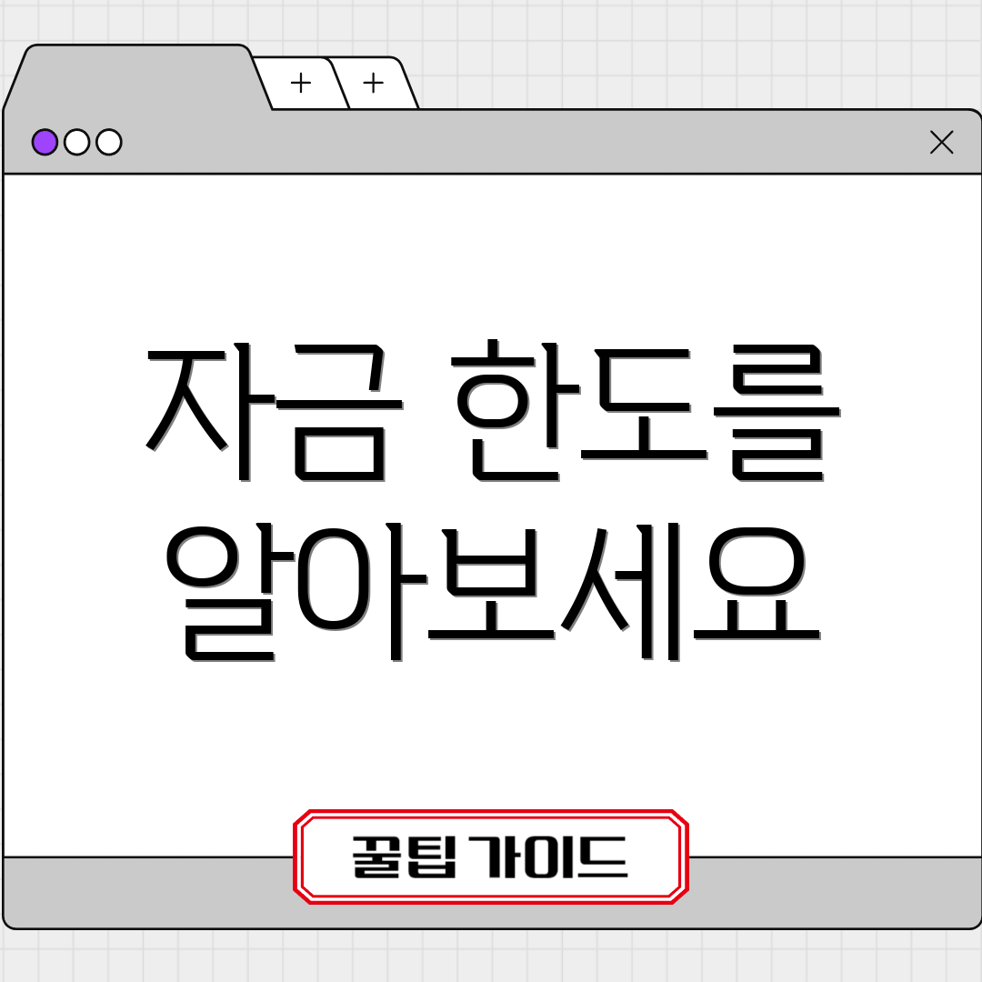 자금 한도를 알아보세요