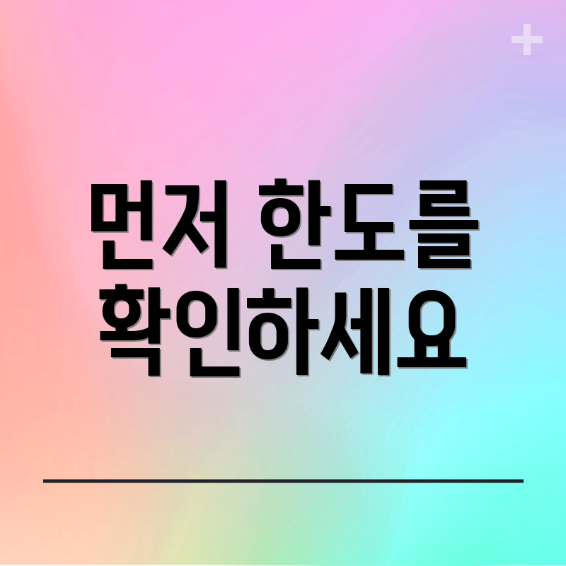 먼저 한도를 확인하세요