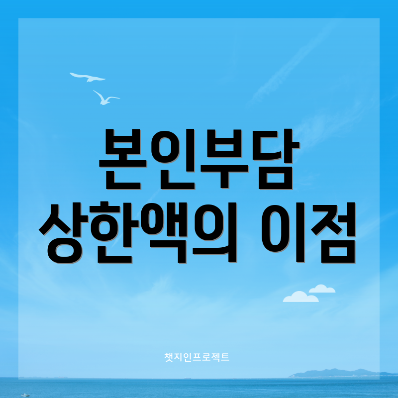 본인부담 상한액의 이점
