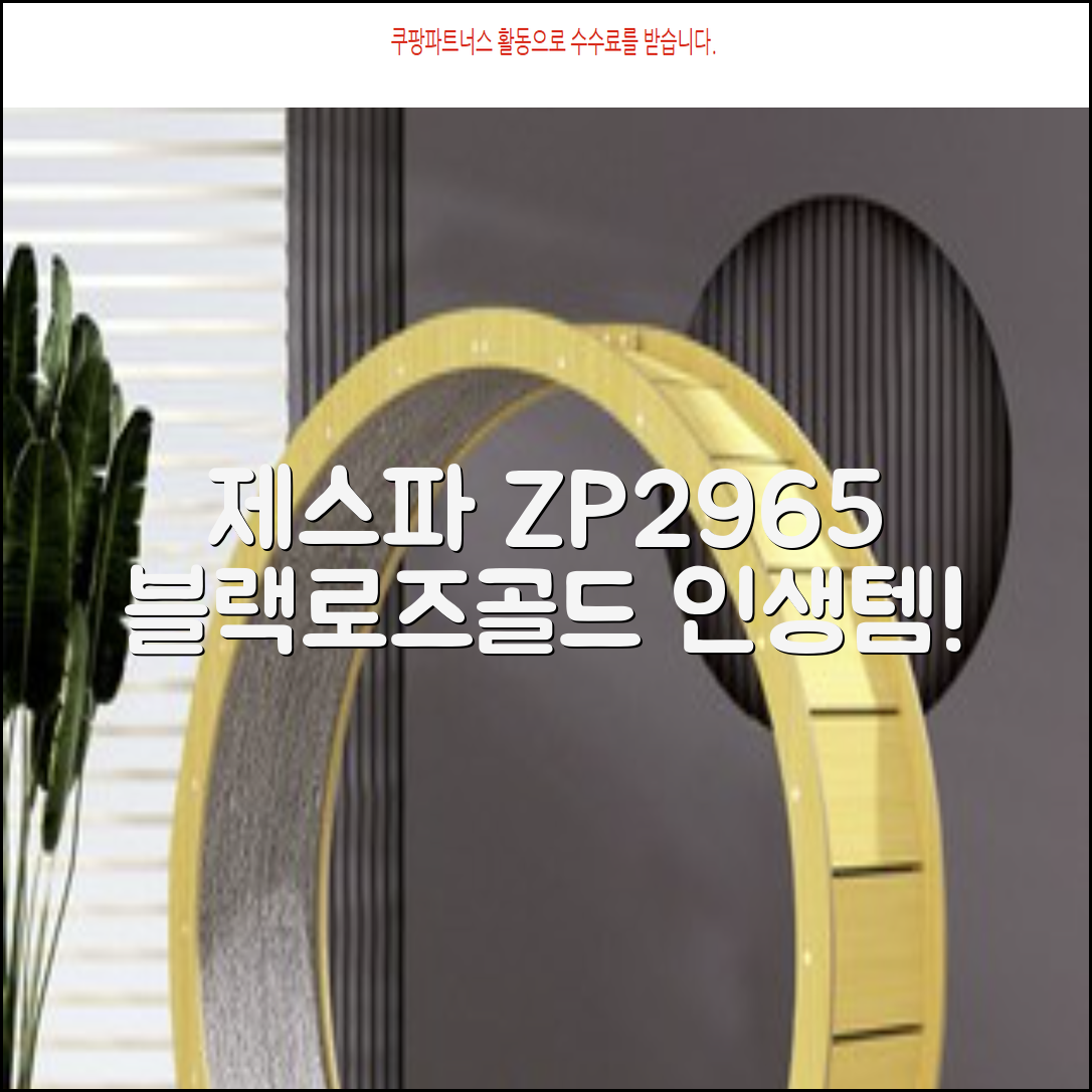 제스파 클래식 전신 무선 자동 마사지건 목어깨 안마기 ZP2965, 블랙 + 로즈골드 추천 리뷰