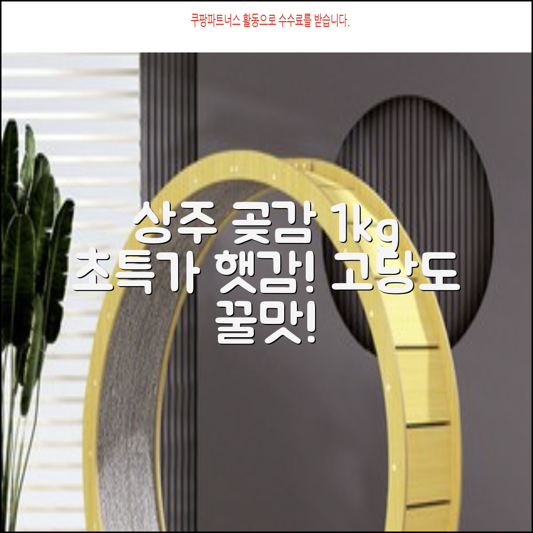 상주 곶감 초특가 1kg 고당도 햇감, 1개 추천 리뷰