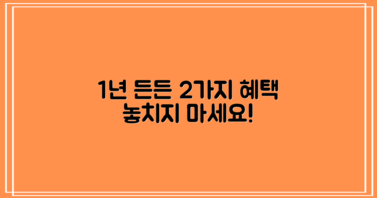 1년 세트, 2가지 혜택