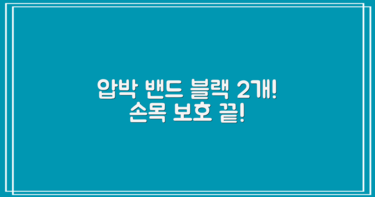 라인벨라 의료용 손목 압박용 밴드 블랙, 2개 추천 리뷰