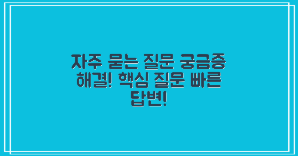 자주 묻는 질문