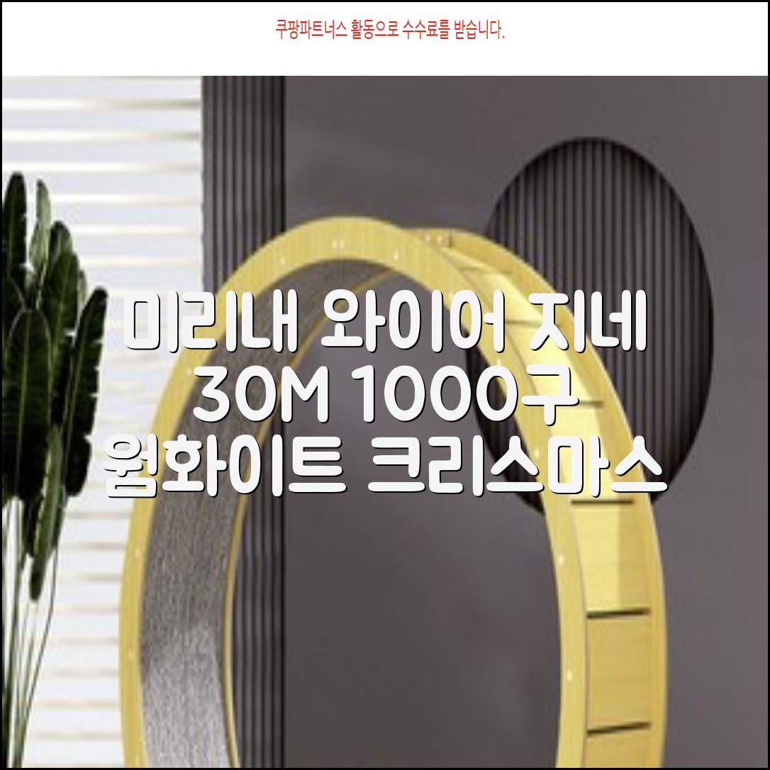 아리조명 LED 미리내 와이어 지네 전구 크리스마스 장식 줄 조명 30M 1000구 실버코팅, 웜화이트, 1개 추천 리뷰
