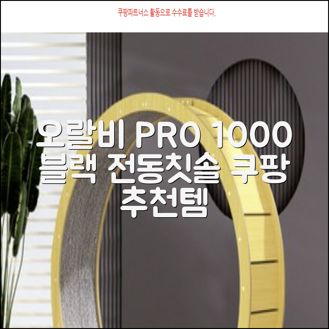오랄비 전동칫솔, PRO 1000, 블랙, 1개 추천 리뷰