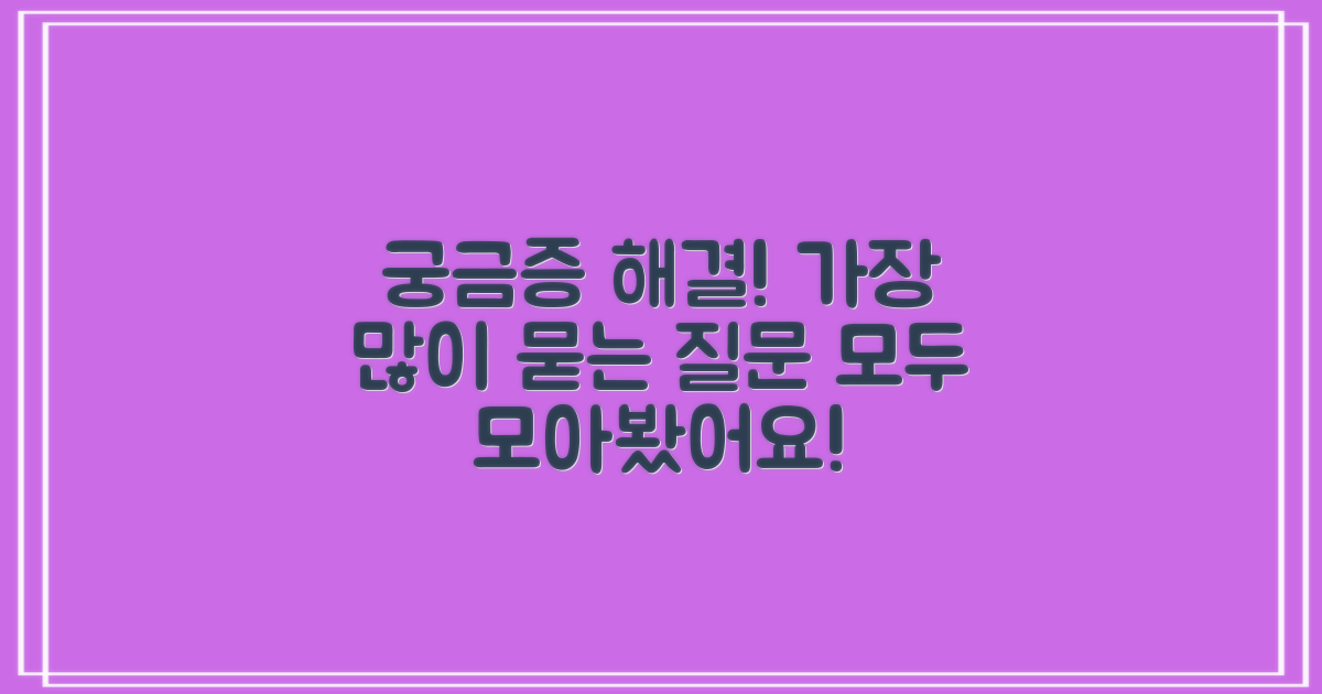 자주 묻는 질문