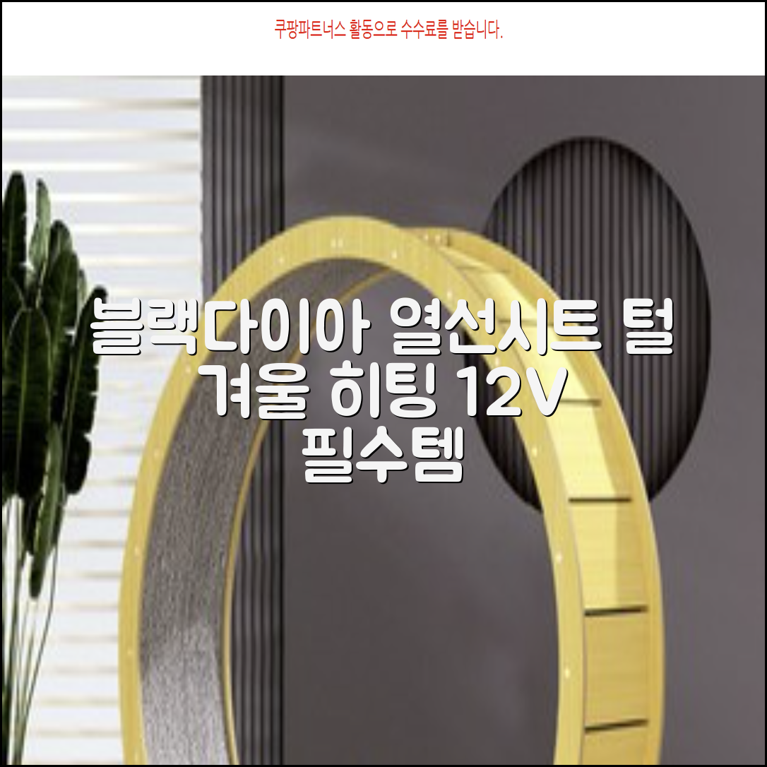 블랙다이아 차량용 열선시트 (1P) 털 겨울 히팅 전기시트, 1개, 12V (운전/조수석) 추천 리뷰