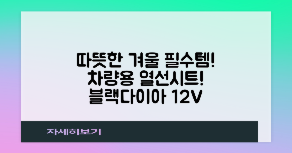블랙다이아 차량용 열선시트 (1P) 털 겨울 히팅 전기시트, 1개, 12V (운전/조수석) 추천 리뷰
