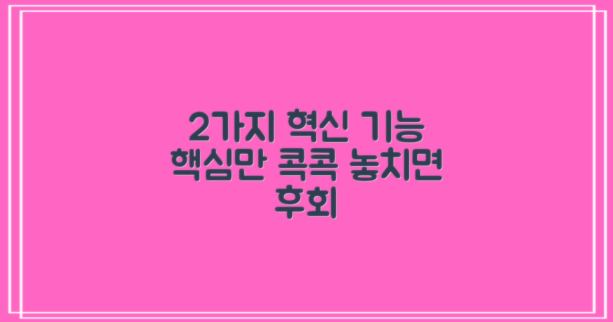 2가지 기능성 특징