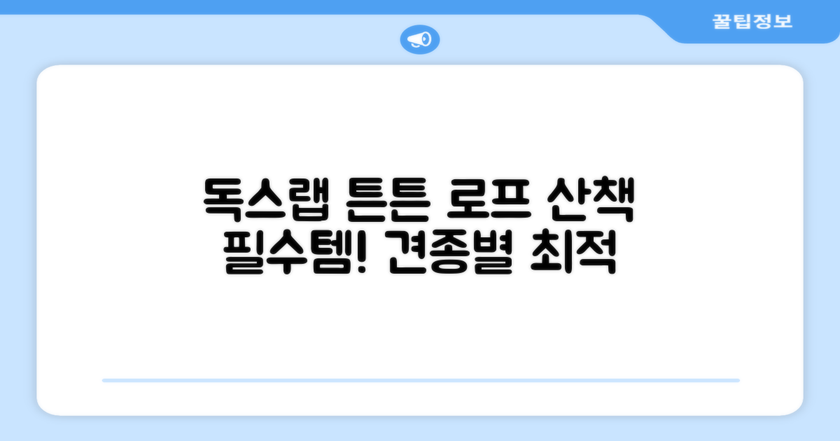 독스랩 1.5m 2m 3m 5m 스트롱 로프 소형견 중형견 대형견 줄 강아지 리드줄 산책줄, 블랙, 1개 추천 리뷰