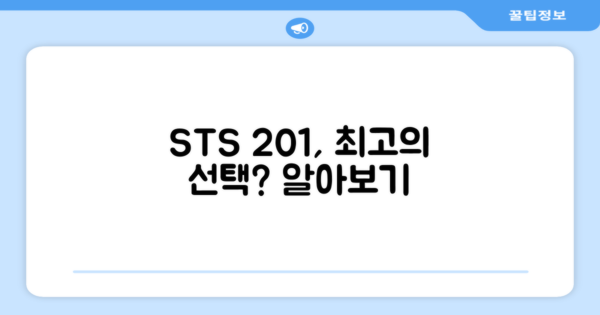 STS 201, 최고의 선택인가?