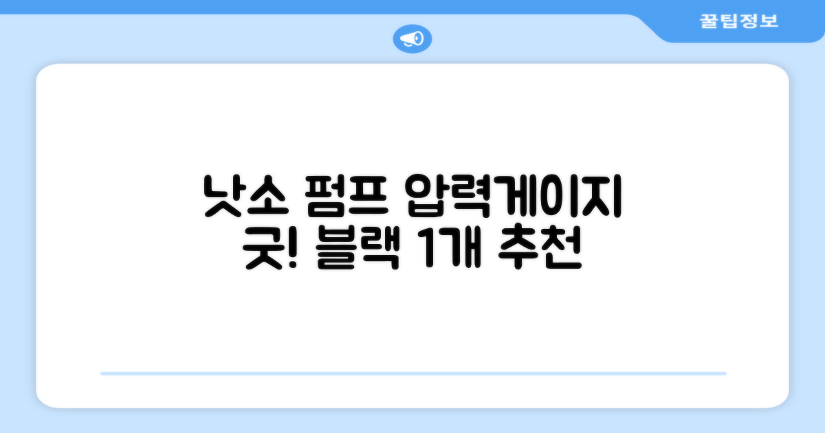 낫소 양방향 압력게이지 펌프, 블랙, 1개 추천 리뷰