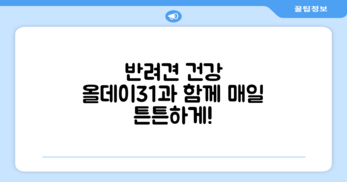 반려견 건강, 올데이31로 챙겨요!