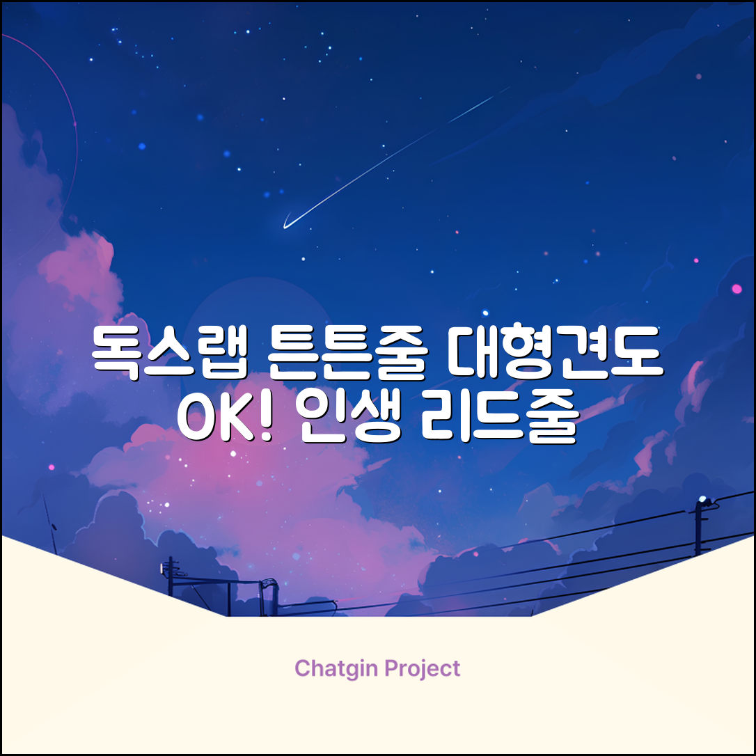 독스랩 1.5m 2m 3m 5m 스트롱 로프 소형견 중형견 대형견 줄 강아지 리드줄 산책줄, 블랙, 1개 추천 리뷰