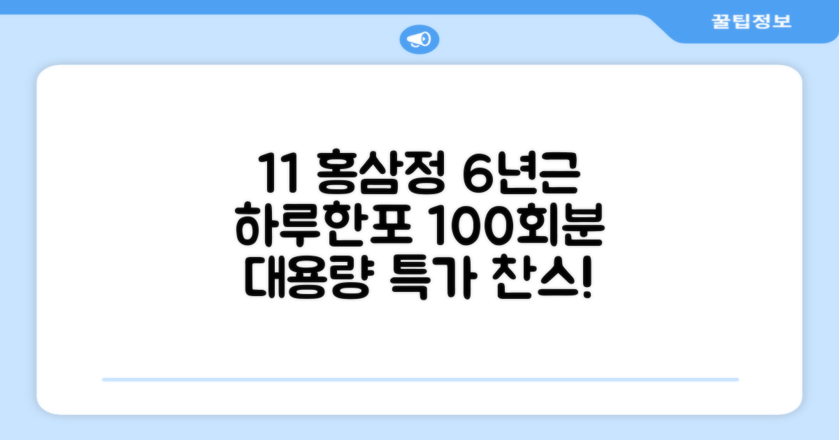 [1+1 특가] 홍삼정 6년근 하루한포 100회분 대용량+쇼핑백, 2개, 1L 추천 리뷰