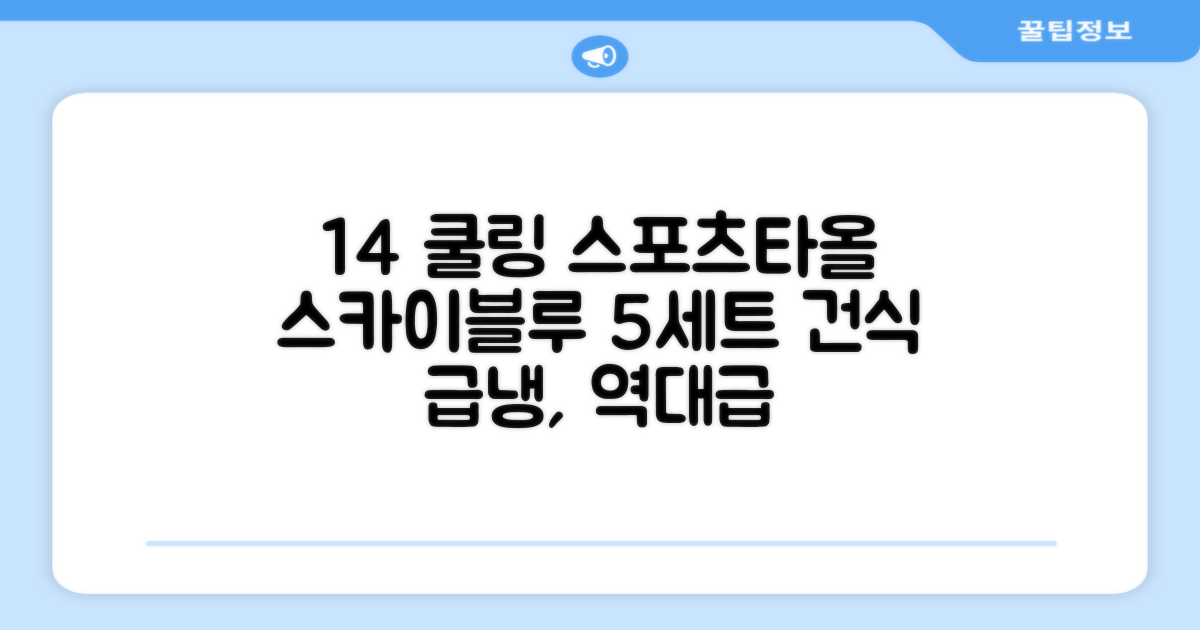 [쿠팡입점 1+4 이벤트] 아이스 쿨링 스포츠타올 건식 급냉 타올, 5세트, 스카이블루 추천 리뷰