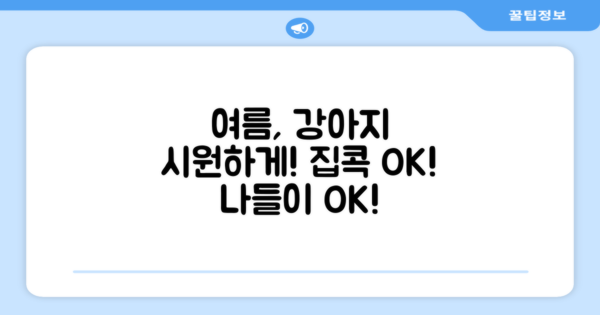 우리 강아지, 여름엔 어디서 시원할까?