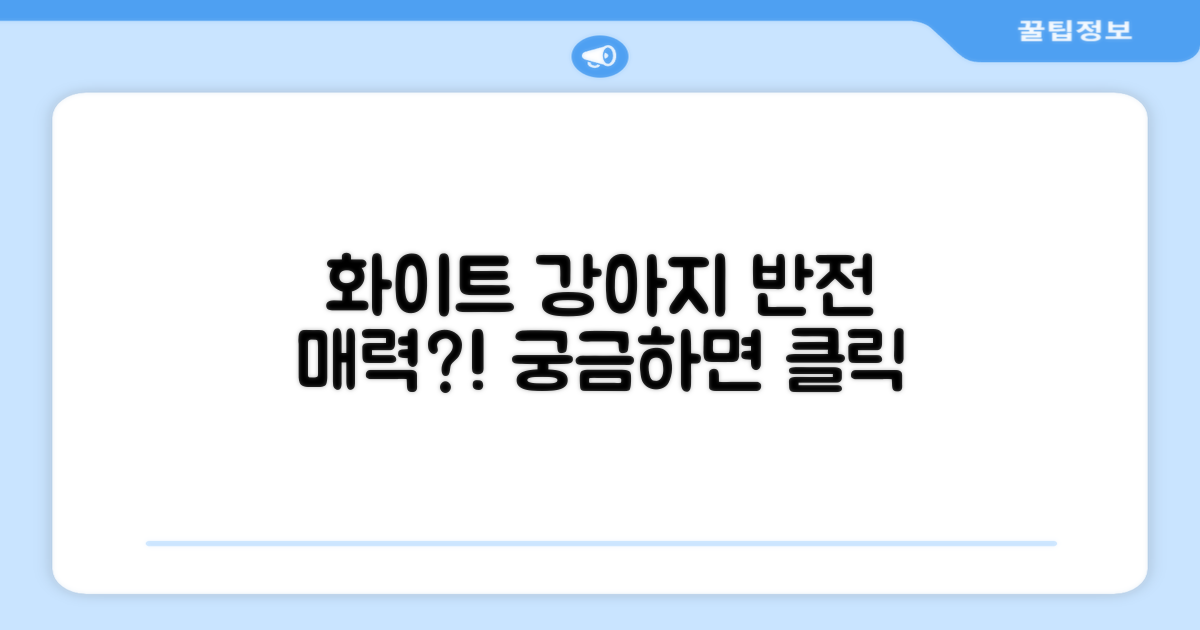 화이트 컬러, 강아지에게 어떤 느낌일까?