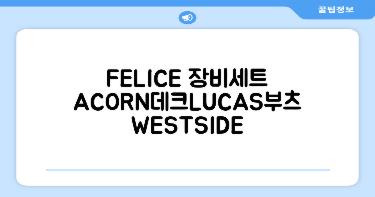 FELICE 장비세트6 ACORN데크 바인딩 LUCAS부츠, WESTSIDE 레드154+바인딩M, 1개 추천 리뷰