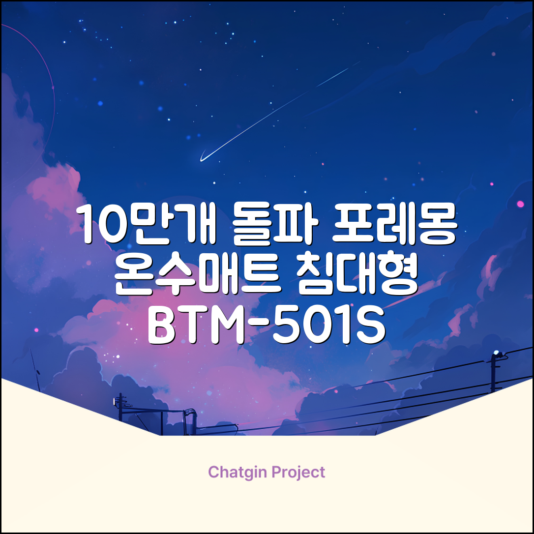 [10만개 판매돌파] 포레몽 온수매트 침대형 BTM-501S, 미니(800x1800mm) 추천 리뷰