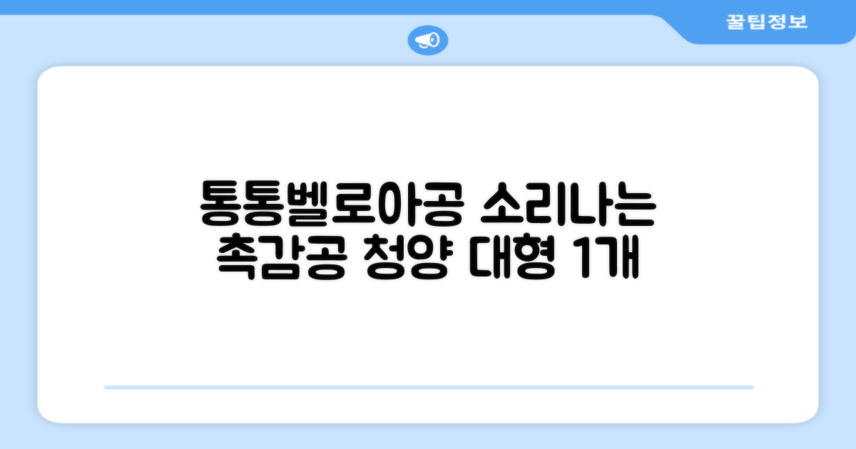 청양 통통이공/ 소리나는 촉감자극공 벨로아 소재, 통통이공-대, 1개 추천 리뷰