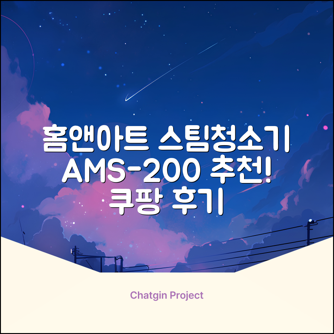 홈앤아트 퓨어 스팀청소기 AMS-200 추천 리뷰