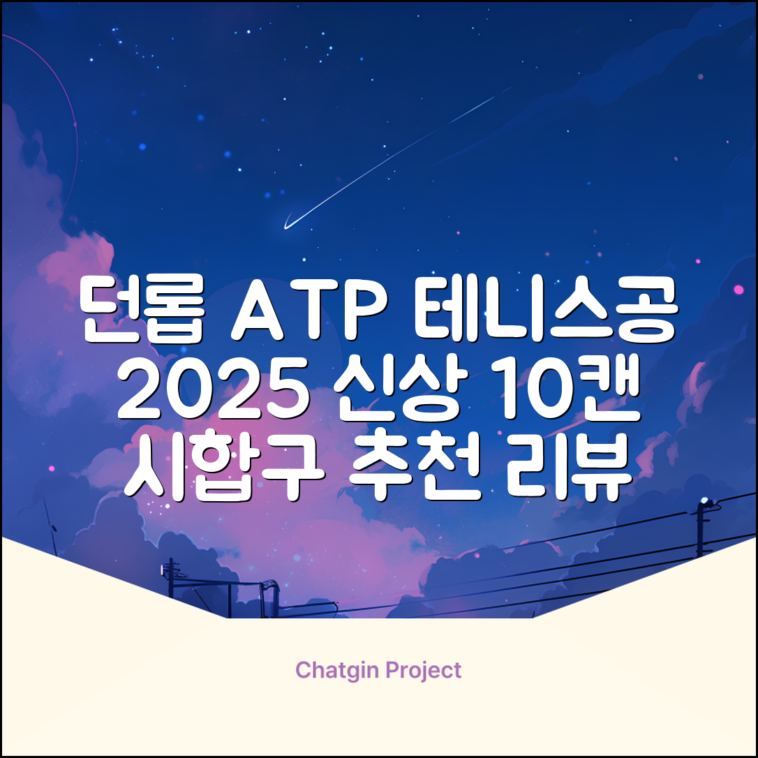 2025 던롭 ATP 테니스공 10캔 (20볼) 시합구, 던롭 ATP볼 10캔 (20볼), 10세트 추천 리뷰