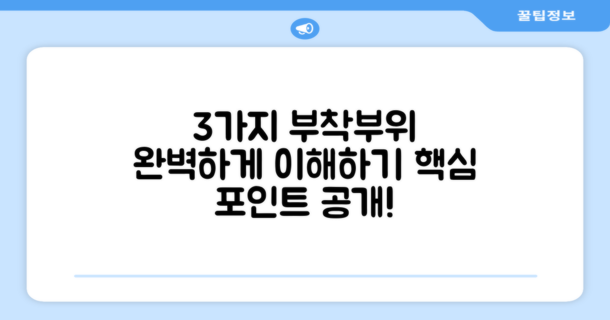 3가지 부착 부위