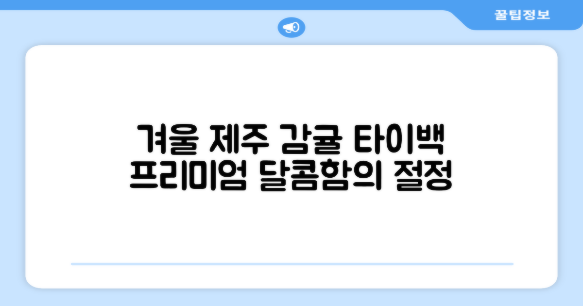 겨울 대표 과일, 제주 타이백 감귤