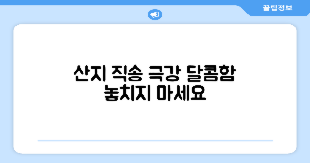 산지 직송! 달콤함의 극치