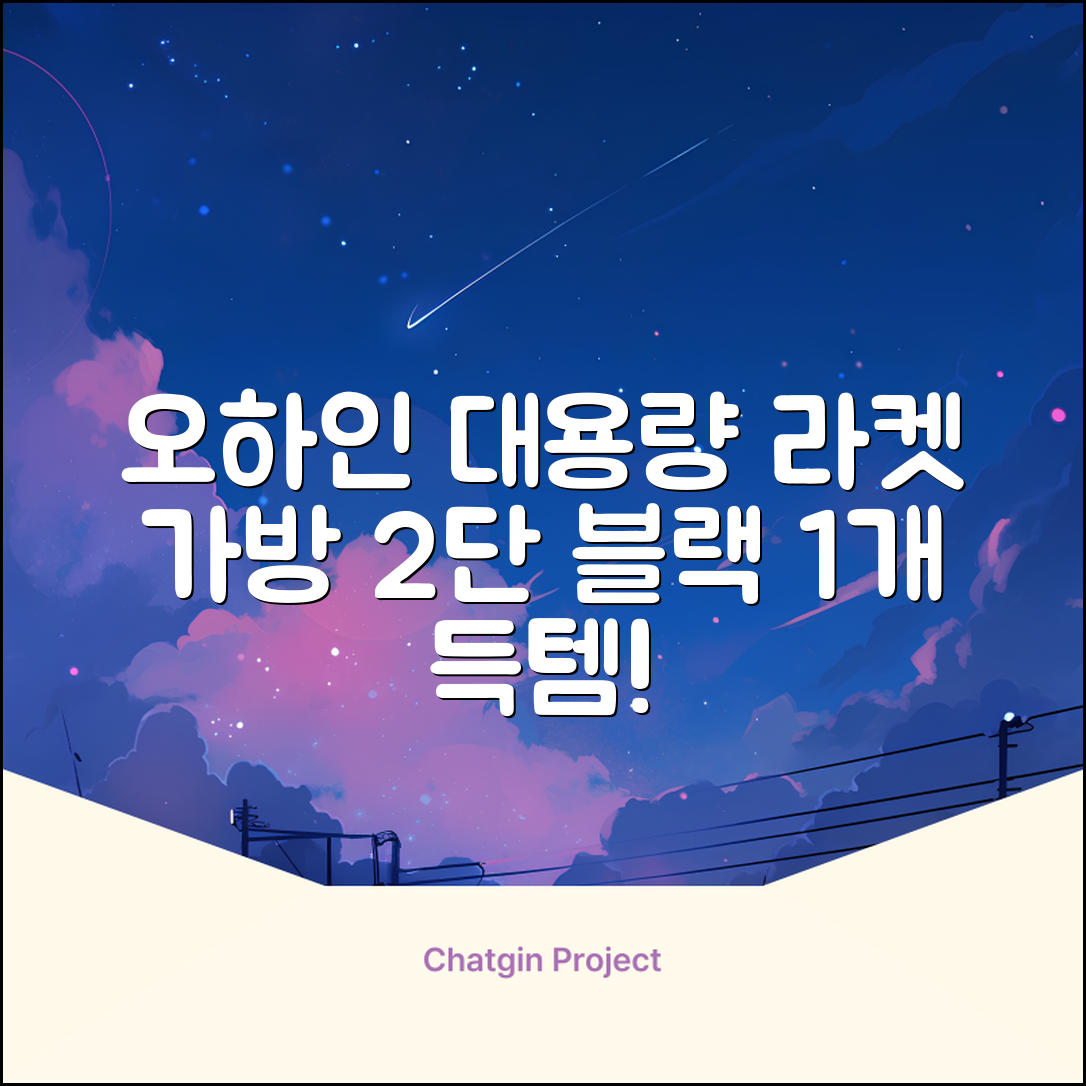 오하인 배드민턴 테니스 스쿼시 2단 대용량 라켓 가방, 블랙, 1개 추천 리뷰